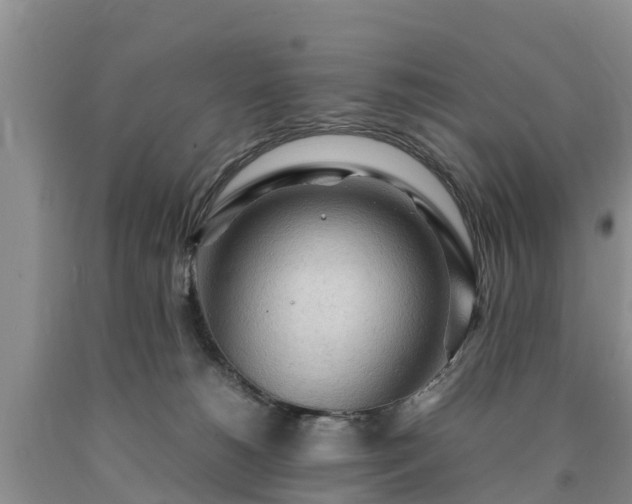 X0000090620180200707241138