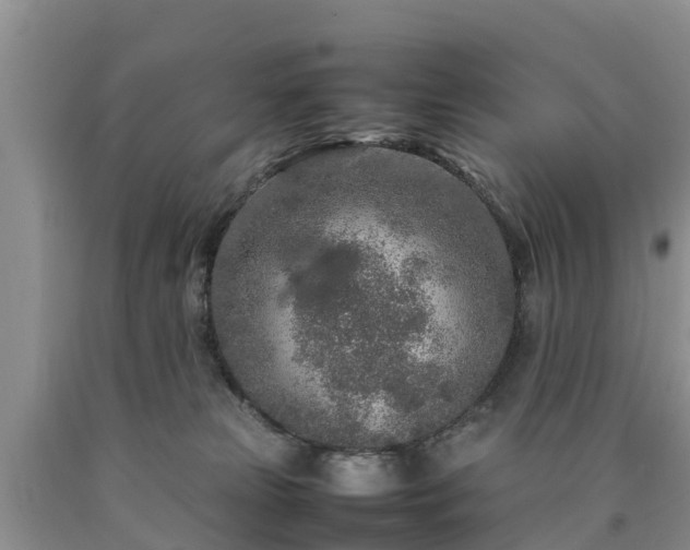 X0000090620181200707241138