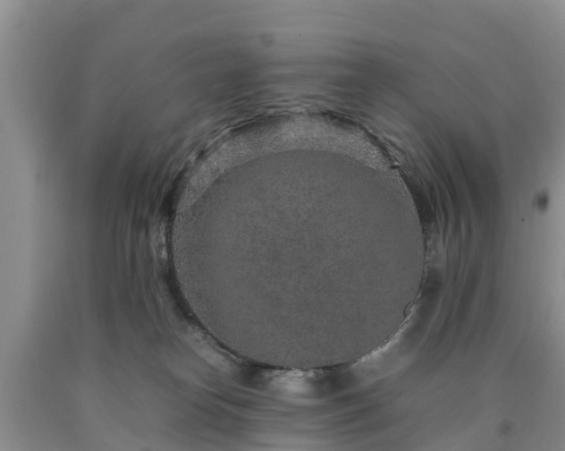 X0000090620182200707241138