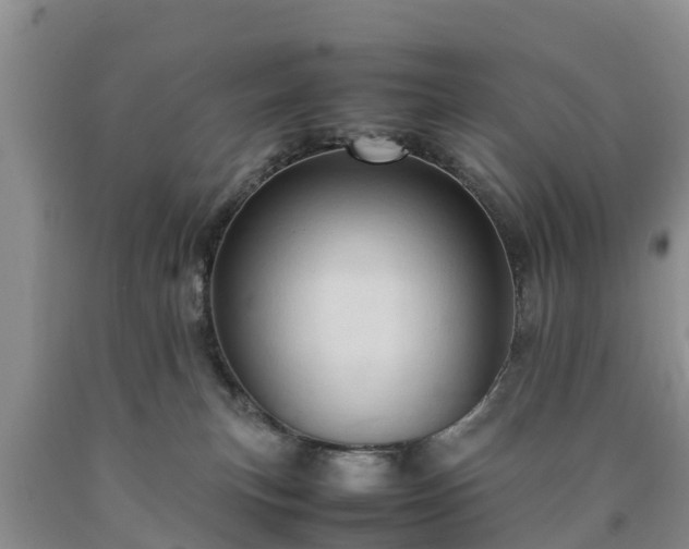 X0000090620183200707241138