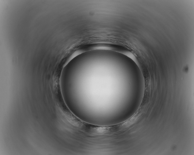 X0000090620184200707241138
