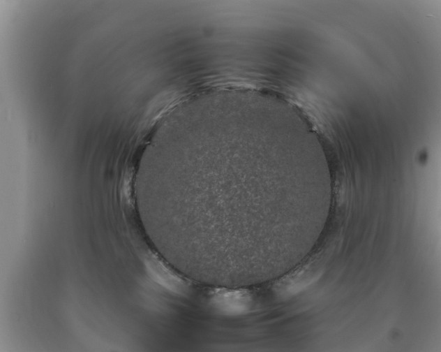 X0000090620185200707241138