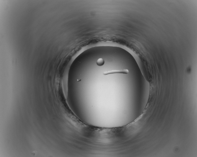 X0000090620186200707241138