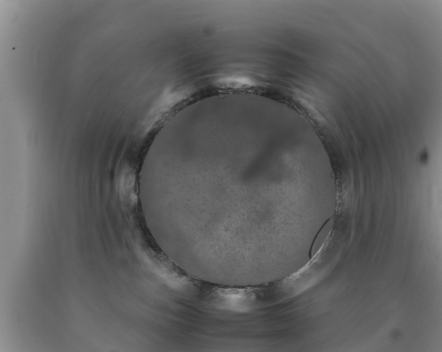X0000090620187200707241138