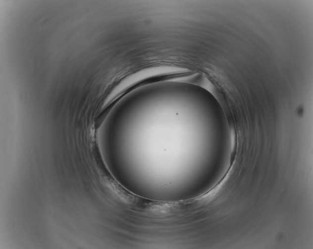 X0000090620190200707241138
