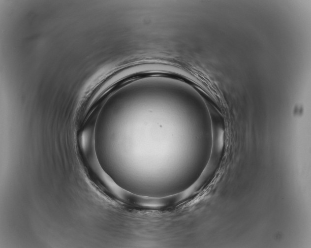 X0000090620197200707241137