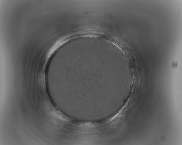 X0000090620198200707241137