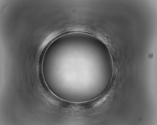 X0000090620199200707241137
