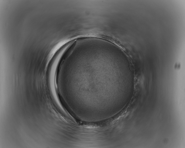 X0000090620200200707241137