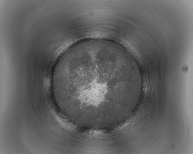 X0000090620208200707241137