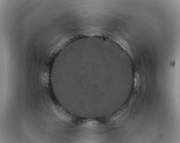 X0000090620210200707241137