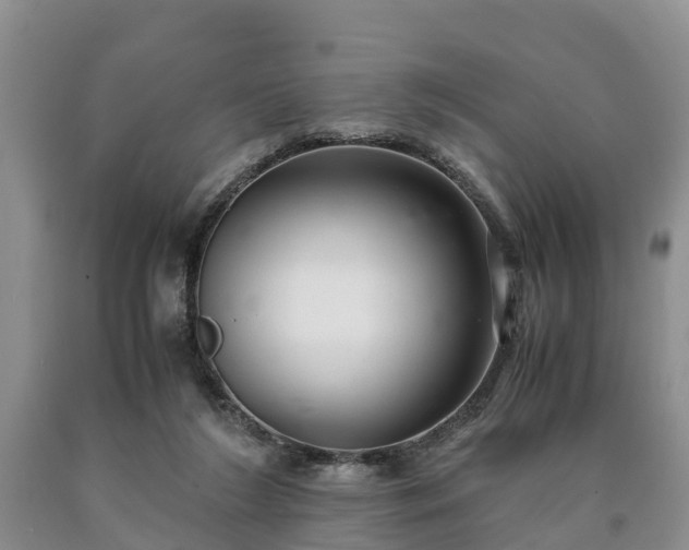 X0000090620212200707241137