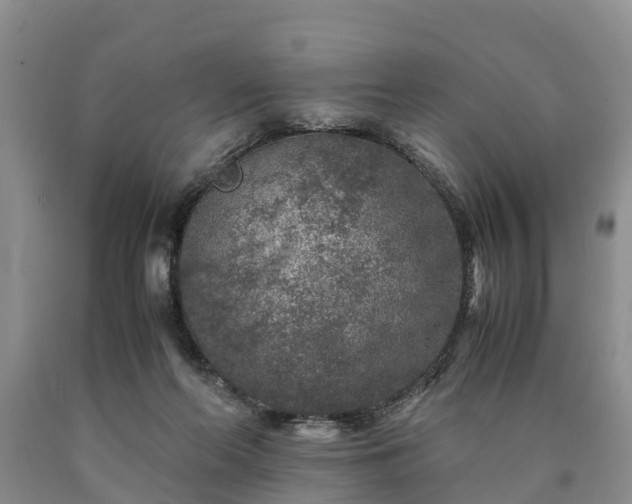 X0000090620214200707241137