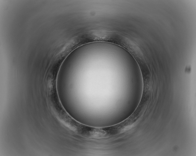 X0000090620215200707241137