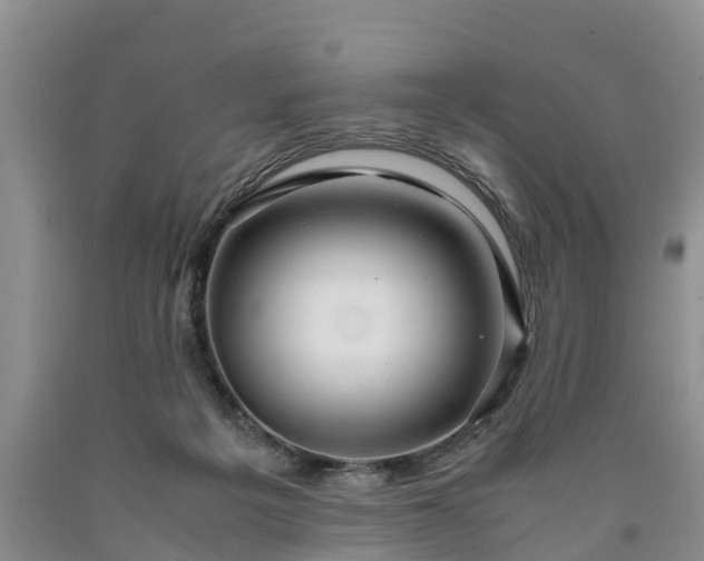 X0000090620217200707241137