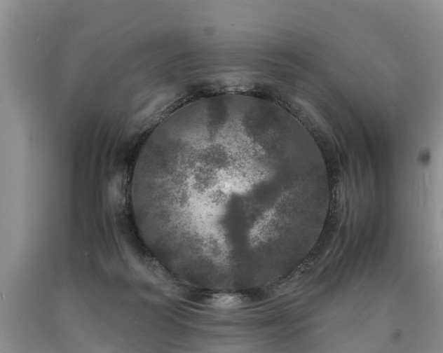 X0000090620218200707241137