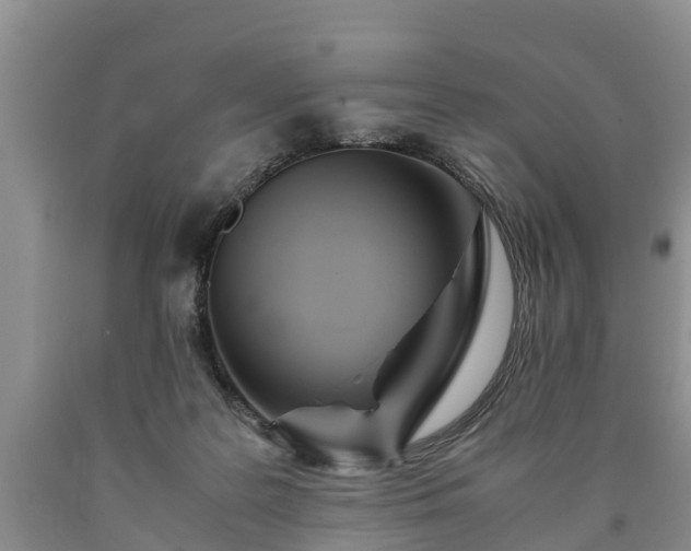 X0000090620219200707241137