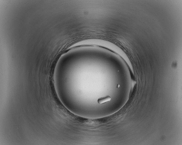 X0000090620221200707241137