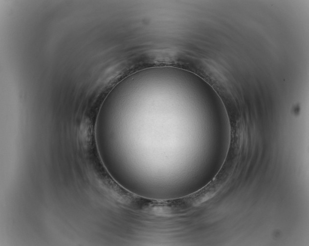 X0000090620228200707241137