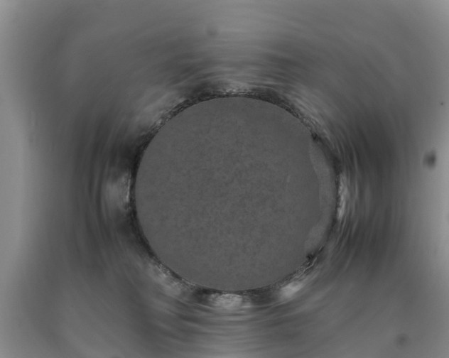 X0000090620230200707241137