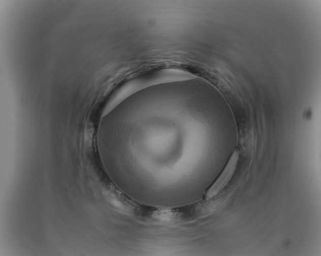 X0000090620231200707241137