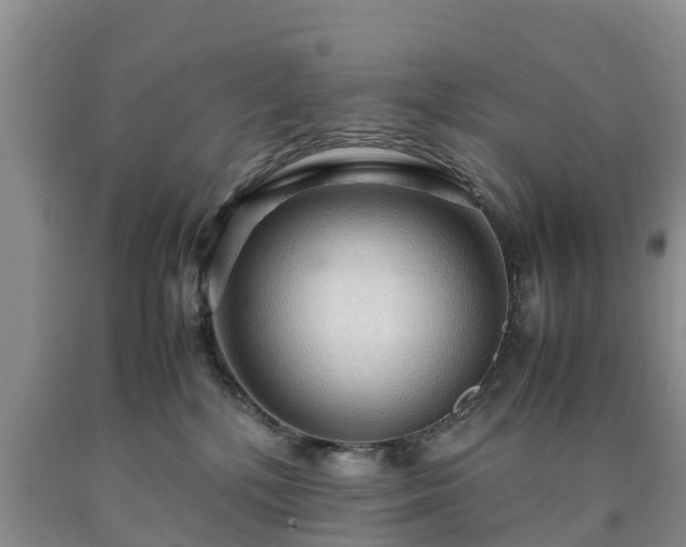 X0000090620232200707241137