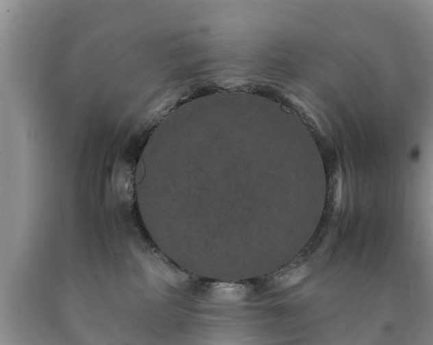 X0000090620234200707241136