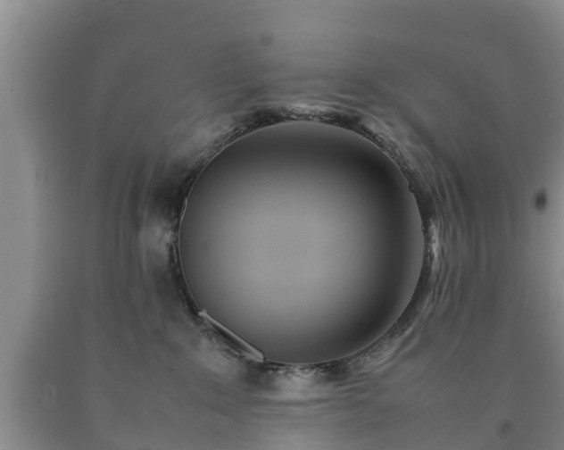 X0000090620235200707241136