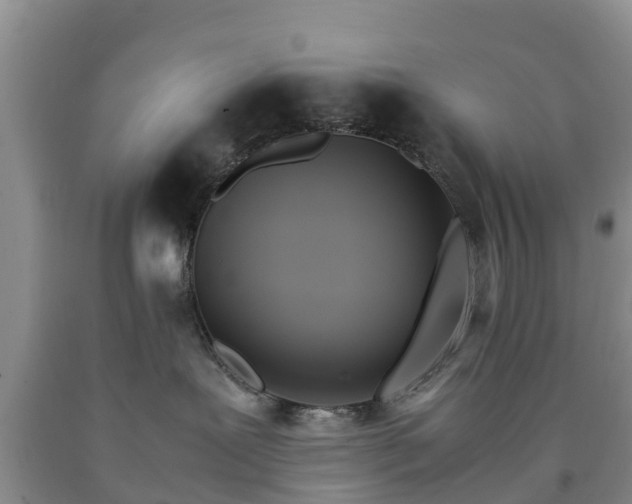 X0000090620239200707241136