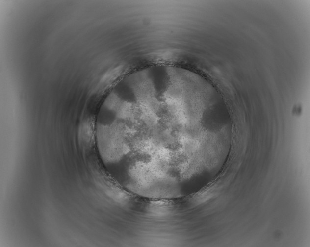X0000090620240200707241136