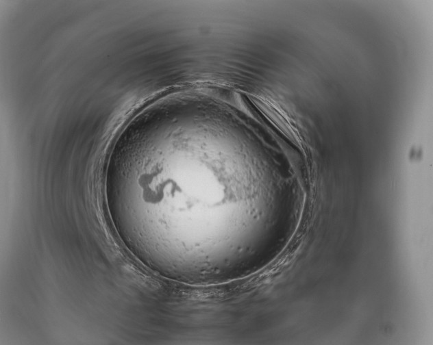 X0000090620241200707241136