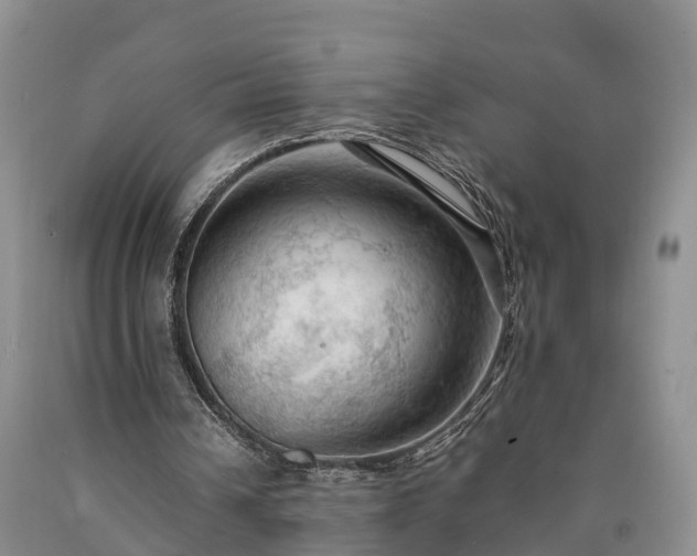X0000090620242200707241136