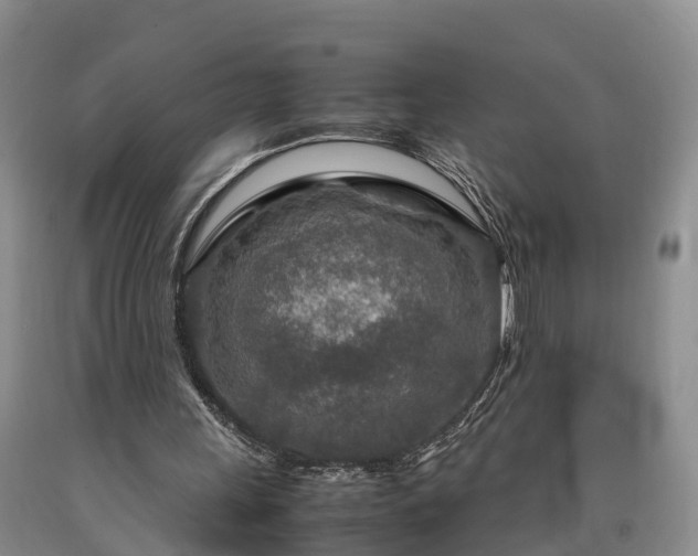 X0000090620243200707241136