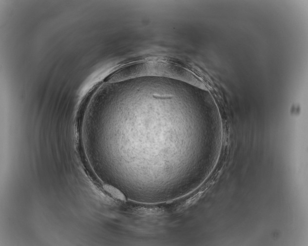 X0000090620245200707241136