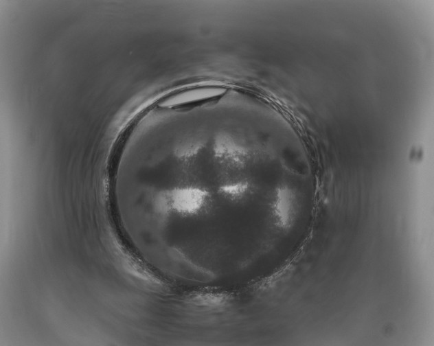 X0000090620247200707241136