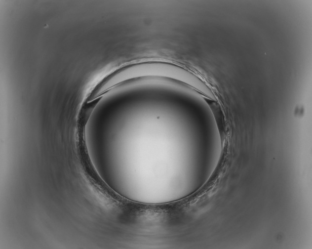 X0000090620248200707241136