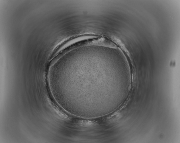 X0000090620249200707241136