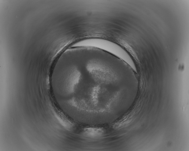 X0000090620251200707241136