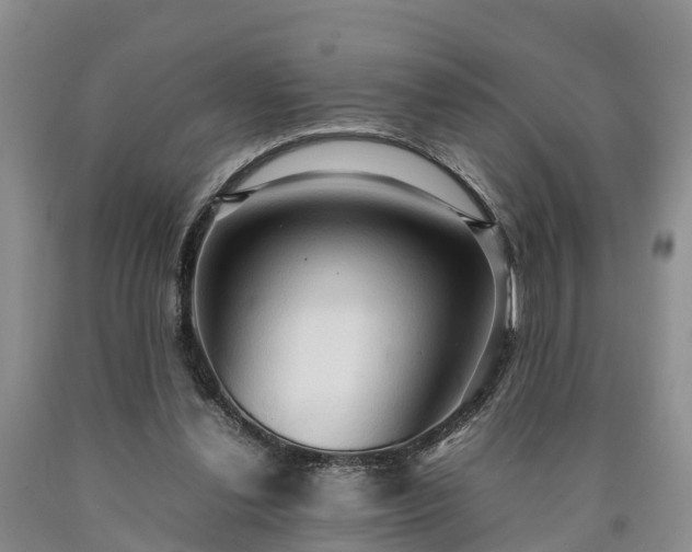 X0000090620252200707241136