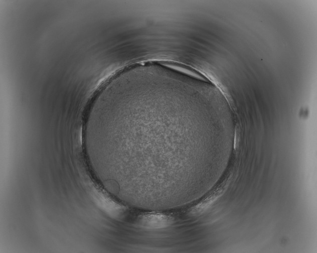 X0000090620253200707241136