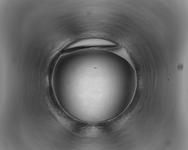 X0000090620254200707241136