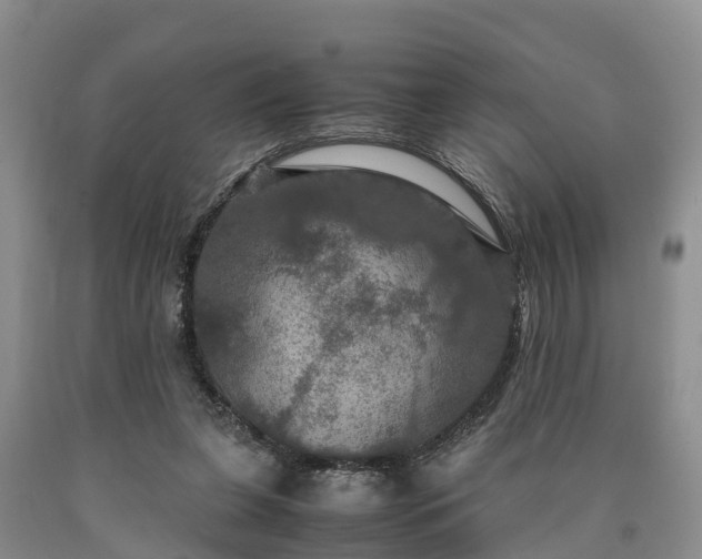 X0000090620255200707241136
