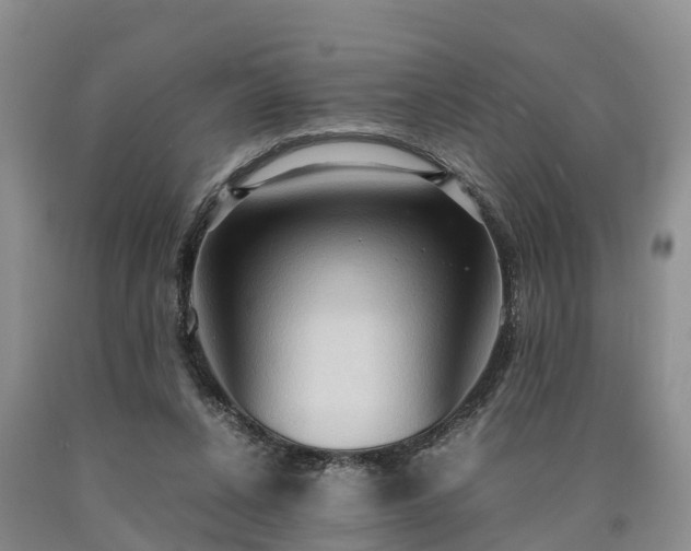 X0000090620256200707241136