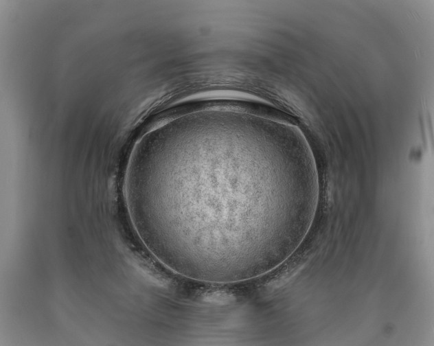 X0000090620258200707241136