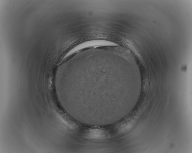X0000090620259200707241136