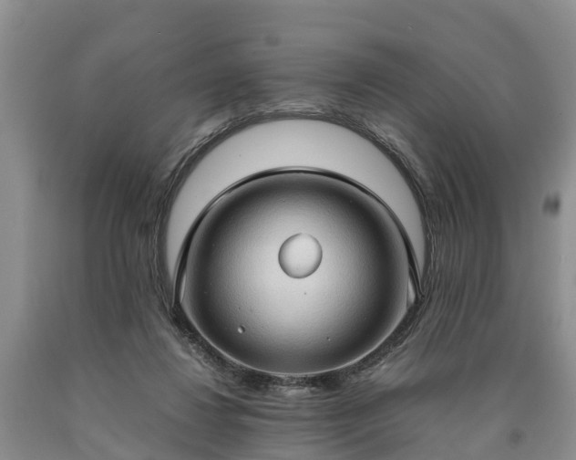 X0000090620260200707241136