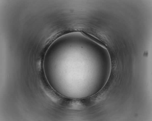 X0000090620262200707241136