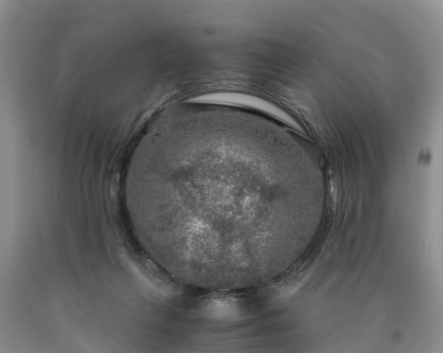 X0000090620263200707241136