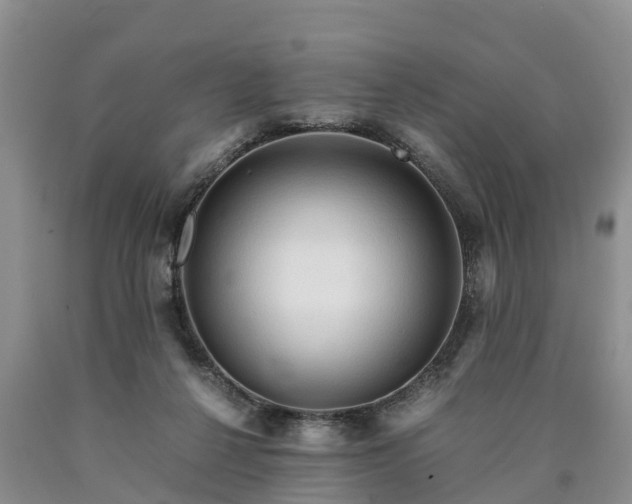 X0000090620264200707241136