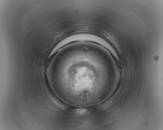 X0000090620265200707241136